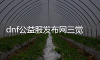 dnf公益服发布网三觉任务副本的隐藏内容