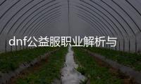 dnf公益服职业解析与推荐