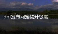 dnf发布网宠物升级需要注意什么？